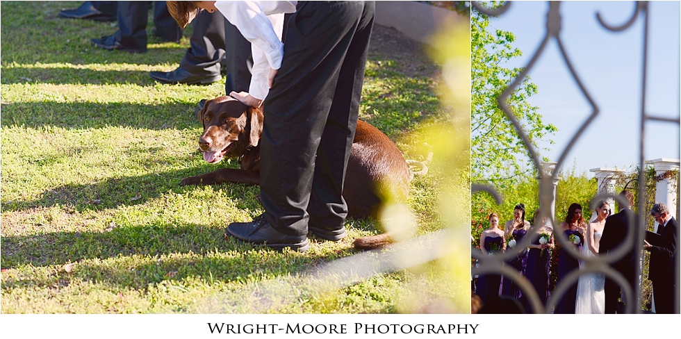 WrightMoorePhoto_1787.jpg