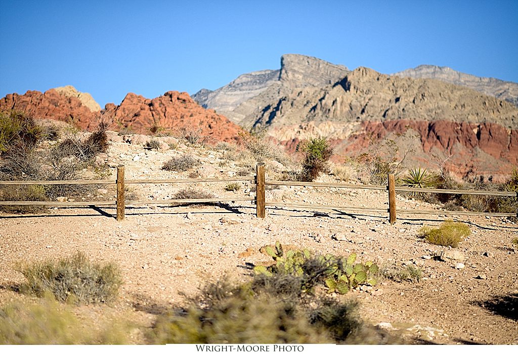 wrightmoorephoto_0980